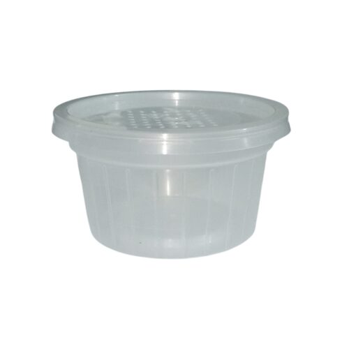 Bocal en plastique perforé 100 ml pour insectes.